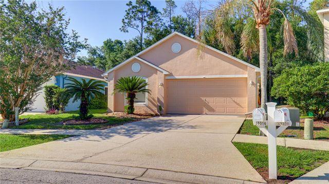 30316 DOUBLE DRIVE, Wesley Chapel, FL 33545