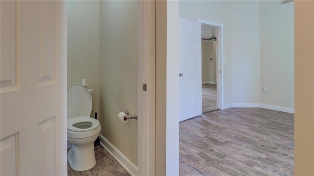 30316 DOUBLE DRIVE, Wesley Chapel, FL 33545
