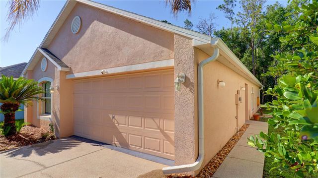 30316 DOUBLE DRIVE, Wesley Chapel, FL 33545