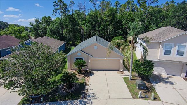 30316 DOUBLE DRIVE, Wesley Chapel, FL 33545