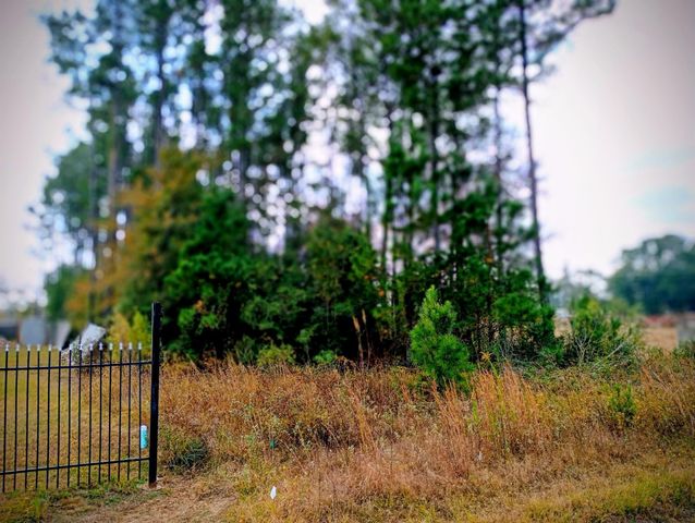 1308 County Road 3545, Cleveland, TX 77327