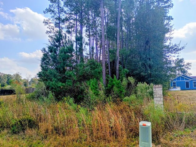 1308 County Road 3545, Cleveland, TX 77327