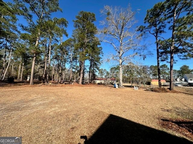 1065 Farmdale Road, Sylvania, GA 30467