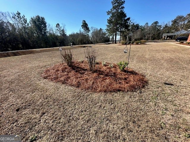 1065 Farmdale Road, Sylvania, GA 30467