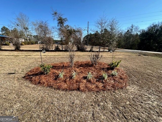 1065 Farmdale Road, Sylvania, GA 30467