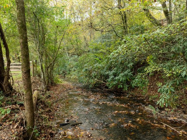 2673 Tails Creek Church Road, Ellijay, GA 30540