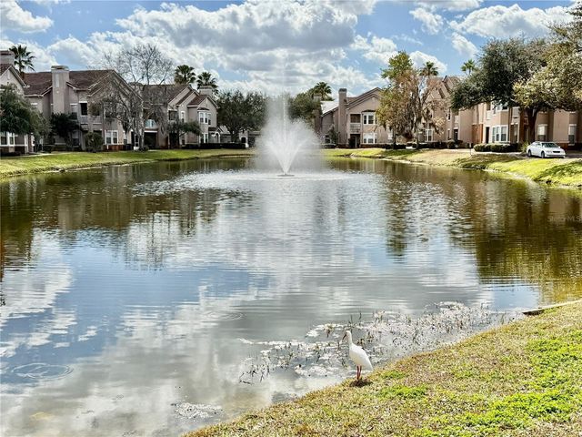 18013 VILLA CREEK DRIVE, Tampa, FL 33647