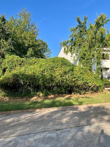 3106 Poe Drive, Montgomery, TX 77356