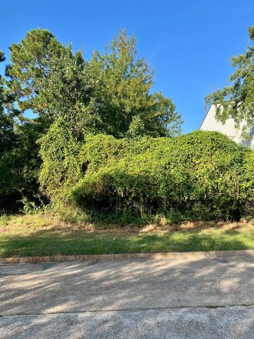 3106 Poe Drive, Montgomery, TX 77356