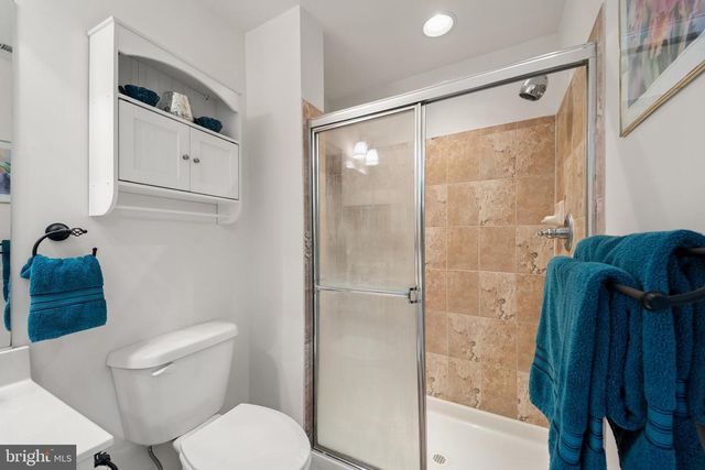 100 EMILYS PINTAIL DR, Bridgeville, DE 19933