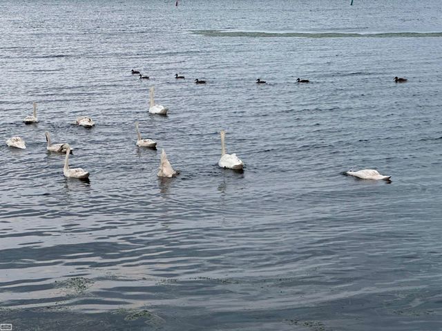 32680 S River Road, Harrison Twp, MI 48045