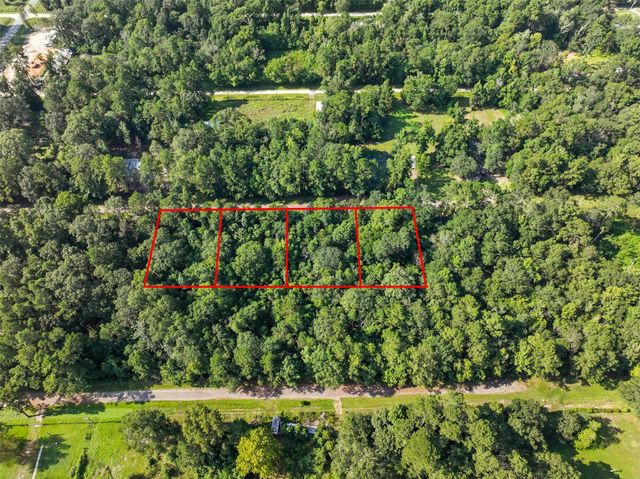 0 Lot 13 Dora Ln Lane, Shepherd, TX 77371
