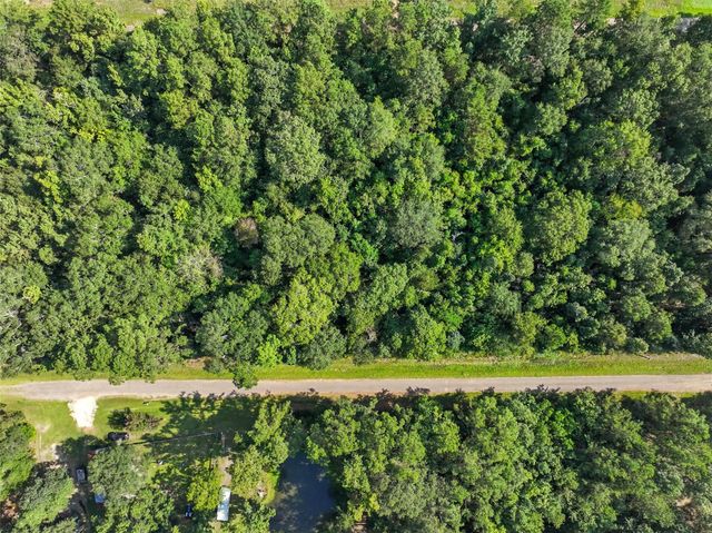 0 Lot 13 Dora Ln Lane, Shepherd, TX 77371