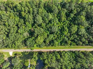 0 Lot 13 Dora Ln Lane, Shepherd, TX 77371