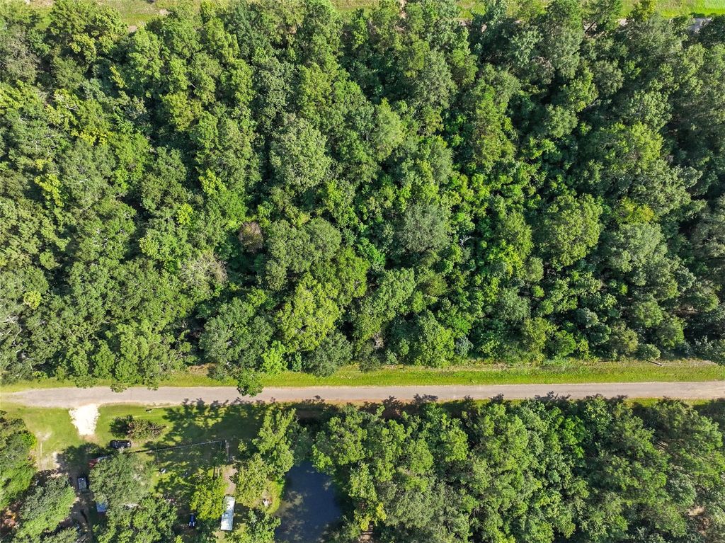 0 Lot 13 Dora Ln Lane, Shepherd, TX 77371
