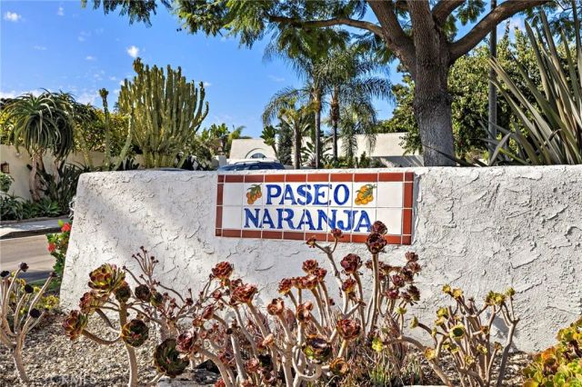 31311 Paseo Naranja, San Juan Capistrano, CA 92675