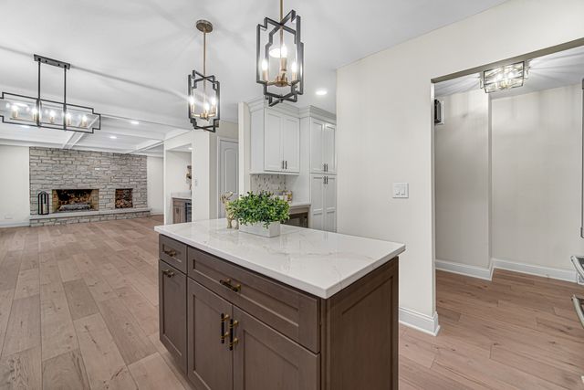 967 W Bauer Road, Naperville, IL 60563