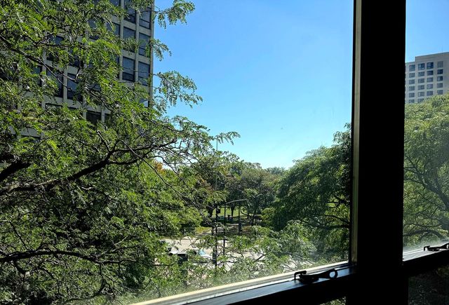 5050 S East End Avenue 4B, Chicago, IL 60615