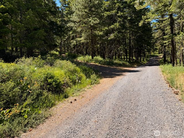 3054 W Sun East Road, Ellensburg, WA 98926