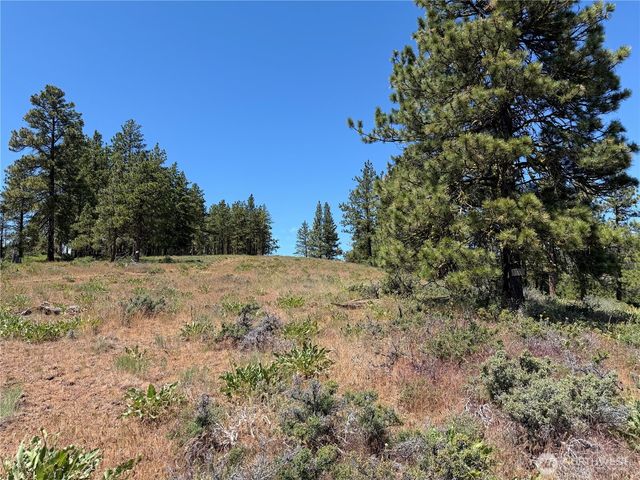 3054 W Sun East Road, Ellensburg, WA 98926