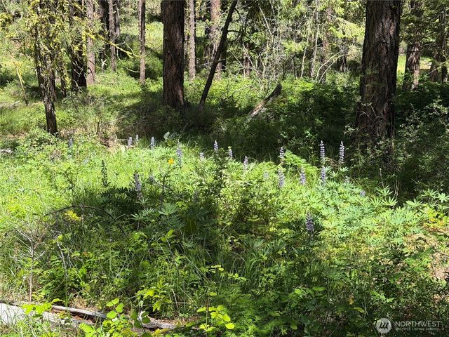 3054 W Sun East Road, Ellensburg, WA 98926