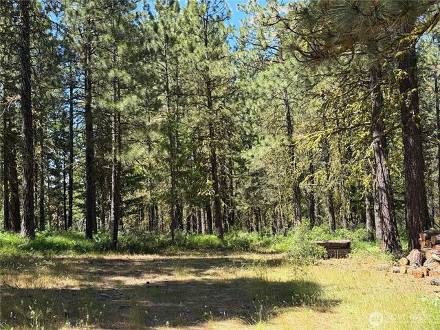 3054 W Sun East Road, Ellensburg, WA 98926