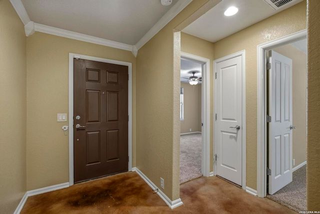 22019 Diamond Chase, San Antonio, TX 78259