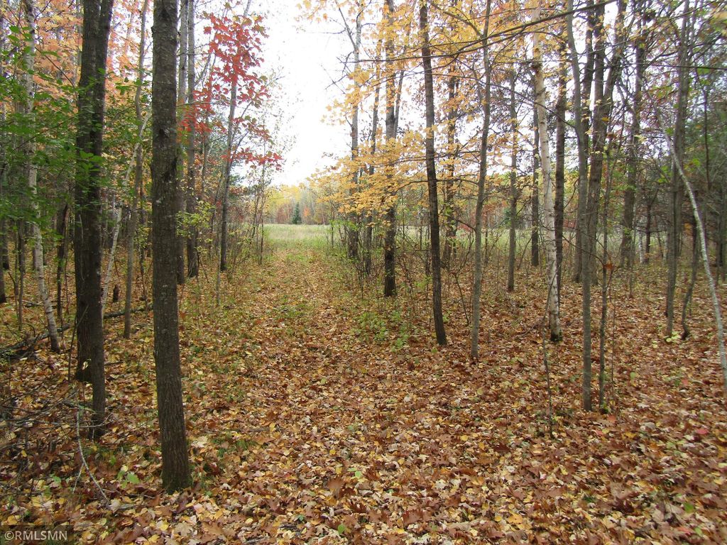 xxxxx Holly Road, Pine City, MN 55063 — photo 2
