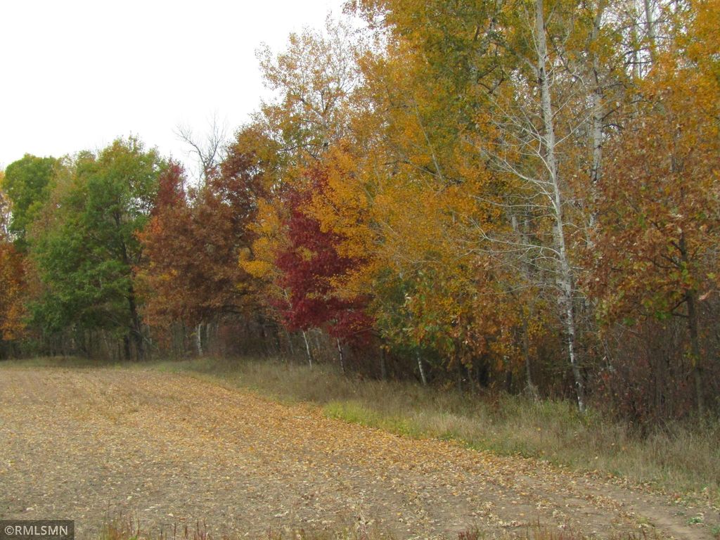 xxxxx Holly Road, Pine City, MN 55063 — photo 3