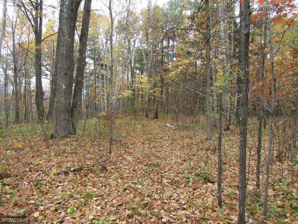xxxxx Holly Road, Pine City, MN 55063 — photo 4