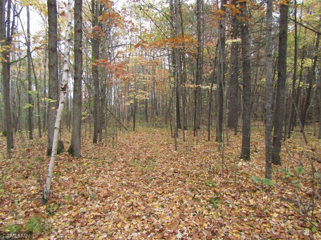 xxxxx Holly Road, Pine City, MN 55063 — photo 5