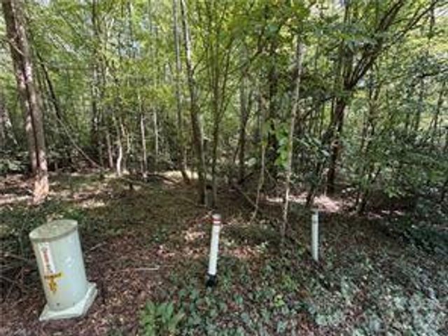 Lot 20 & 21 Zinzendorf Lane 20 & 21, Moravian Falls, NC 28654