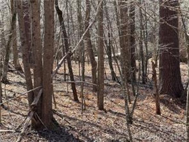 Lot 20 & 21 Zinzendorf Lane 20 & 21, Moravian Falls, NC 28654