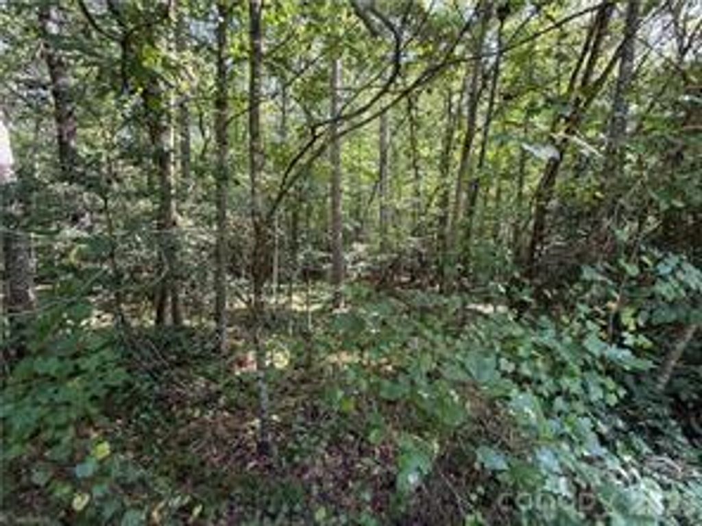 Lot 20 & 21 Zinzendorf Lane 20 & 21, Moravian Falls, NC 28654