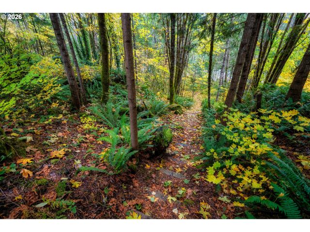 69437 E VINE MAPLE Dr, Rhododendron, OR 97049