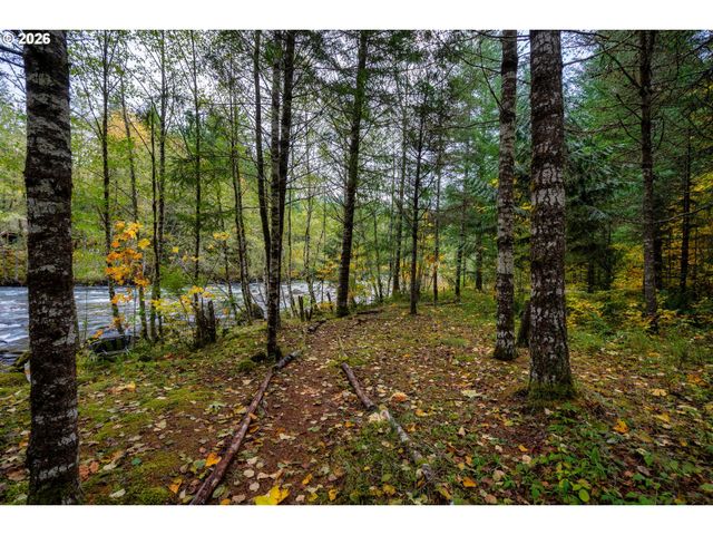69437 E VINE MAPLE Dr, Rhododendron, OR 97049