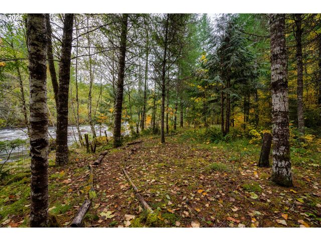 69437 E VINE MAPLE Dr, Rhododendron, OR 97049