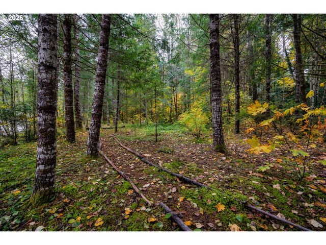 69437 E VINE MAPLE Dr, Rhododendron, OR 97049