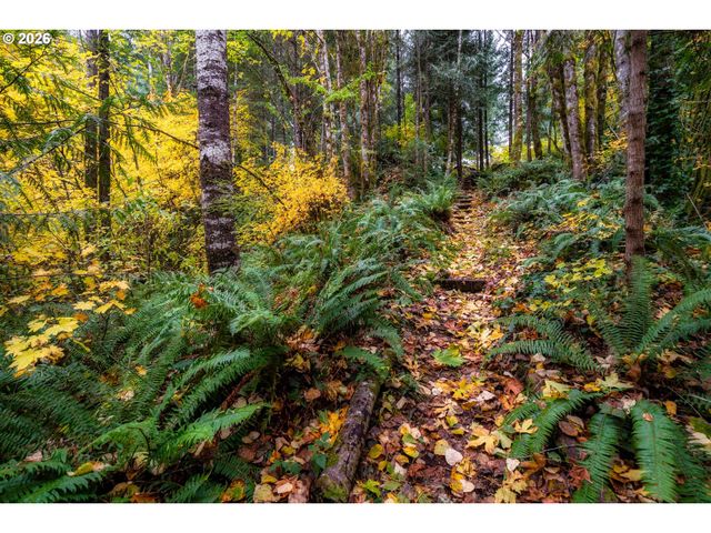69437 E VINE MAPLE Dr, Rhododendron, OR 97049