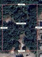1511 RUSSELL AVENUE, Eustis, FL 32726