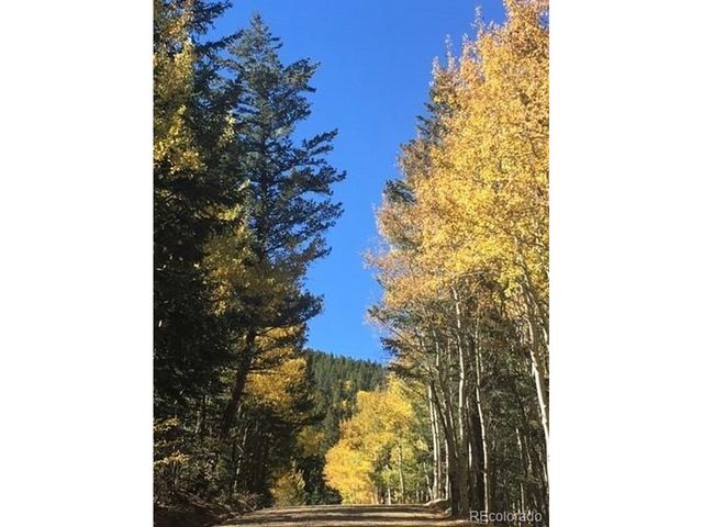 Silver Star, Idaho Springs, CO 80452