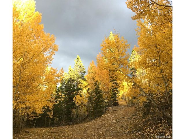 Silver Star, Idaho Springs, CO 80452