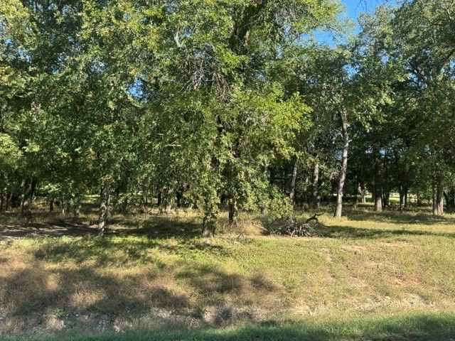 TBD Allie Court, Hudson Oaks, TX 76087