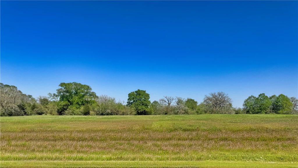 10222 Panther Creek Drive, Iola, TX 77861 — exterior