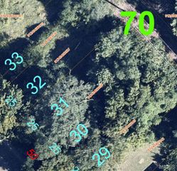 1927 Bond Avenue, East St Louis, IL 62207