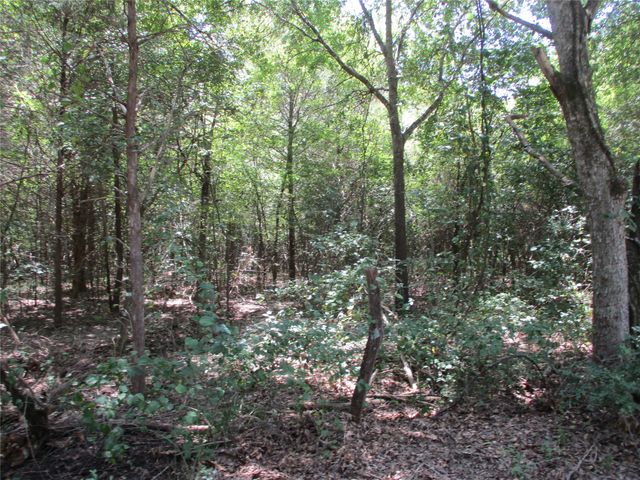 517 Rains County Road 1275, Emory, TX 75440