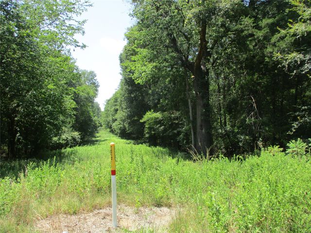 517 Rains County Road 1275, Emory, TX 75440