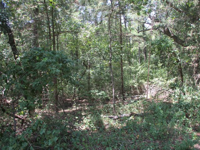 517 Rains County Road 1275, Emory, TX 75440