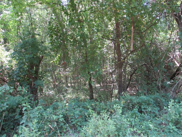 517 Rains County Road 1275, Emory, TX 75440