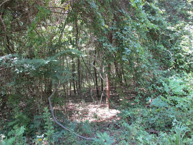 517 Rains County Road 1275, Emory, TX 75440